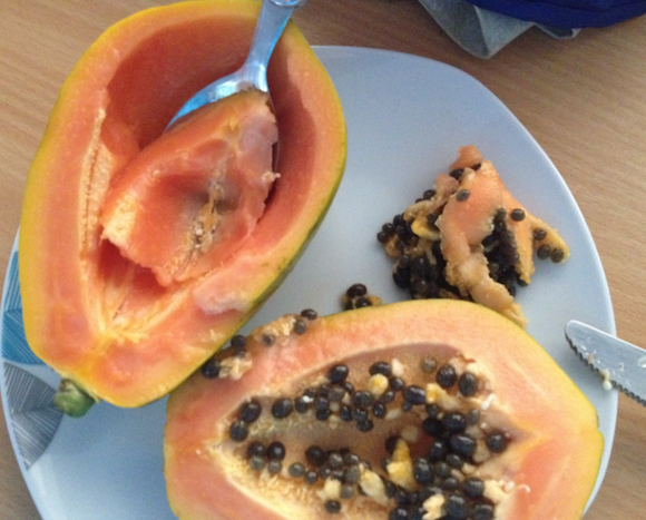 papaya