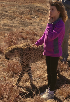 niece and cheetah-1