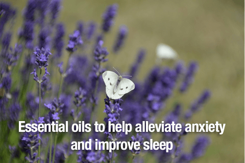 essential oils and anxiety