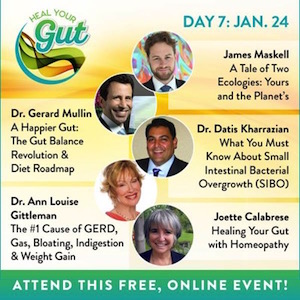 heal-your-gut-day7