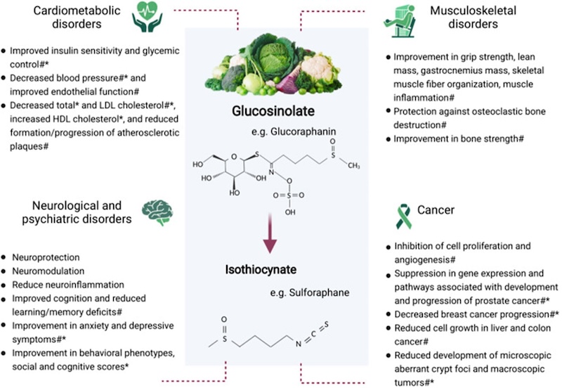 glucosinolate